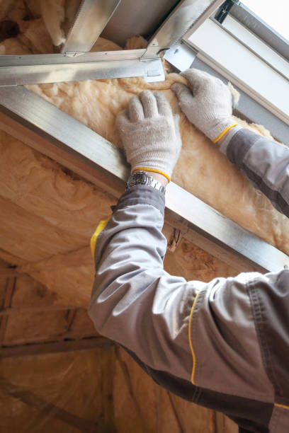 Best Types of Insulation in Columbia, SC